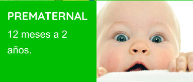 PREMATERNAL 12 meses a 2 años.